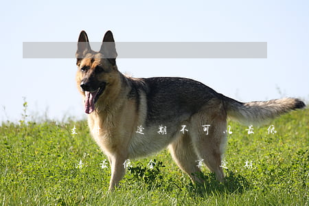 支付寶逾期不可以最低還款嗎-支付寶已還清最低金額,算逾期嗎