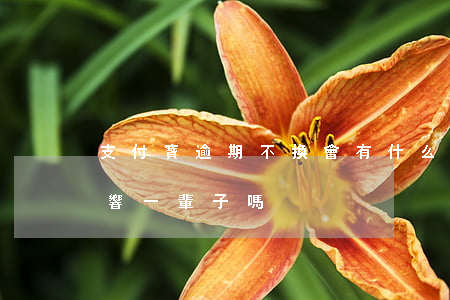 支付寶逾期不換會有什么后果(支付寶逾期影響一輩子嗎)