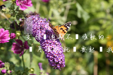 支付寶逾期不會催款的-支付寶逾期不到一個月,催收就說要起訴我