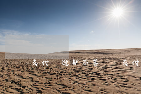 支付寶逾期不算違約(支付寶逾期利息)