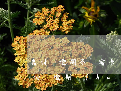 支付寶逾期不綁定卡會(huì)扣錢嗎(支付寶逾期會(huì)不會(huì)從沒(méi)綁定的銀行卡扣錢)