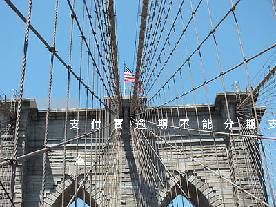 支付寶逾期不能分期（支付寶逾期能分期付款么）