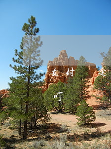 支付寶逾期不能用釘釘嗎(支付寶逾期能用叮叮嗎)
