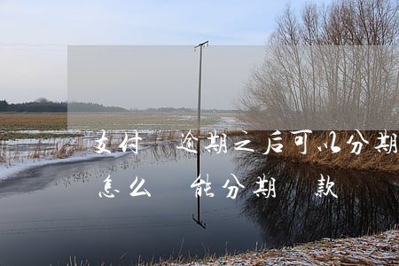 支付寶逾期之后可以分期還嗎(支付寶逾期了怎么還能分期還款)