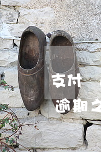 支付寶逾期之后怎么才能使用花唄-支付寶逾期之后怎么才能使用花唄付款