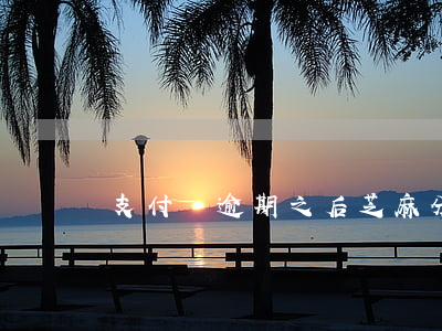支付寶逾期之后芝麻分降到370