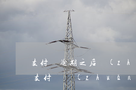 支付寶逾期之后轉(zhuǎn)賬不進去(支付寶轉(zhuǎn)賬遲遲不到)