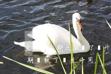 支付寶逾期之后還了為什么用不了（支付寶逾期還款了還是停用）