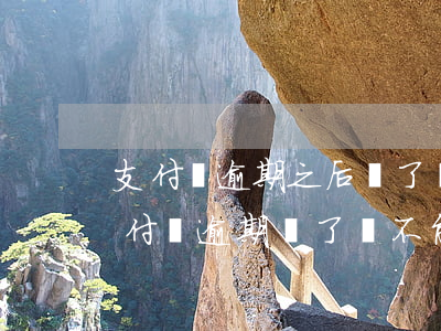 支付寶逾期之后還了為什么用不了（為什么支付寶逾期還了還不能用）
