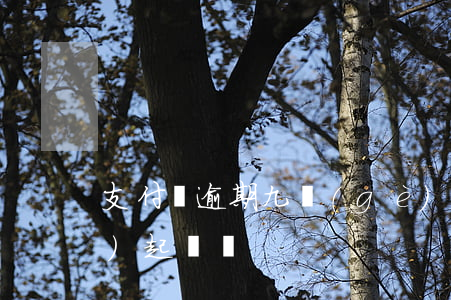 支付寶逾期九個(gè)月真的會(huì)起訴嗎