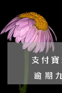 支付寶逾期九十天注銷(xiāo) 支付寶逾期九十天會(huì)起訴嗎