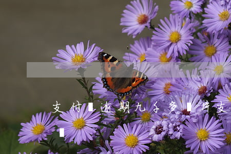 支付寶逾期九千多圖片(支付寶逾期五百多截圖)