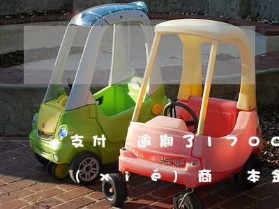 支付寶逾期了1700(支付寶逾期了可以協(xié)商還本金)