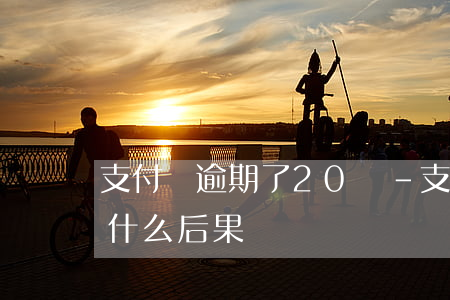 支付寶逾期了20萬-支付寶逾期十幾萬有什么后果