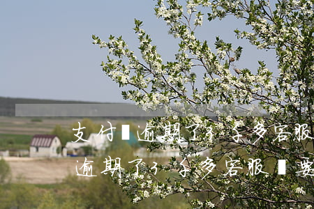 支付寶逾期了3千多客服說要走訪-支付寶逾期了3千多客服說要走訪是真的嗎