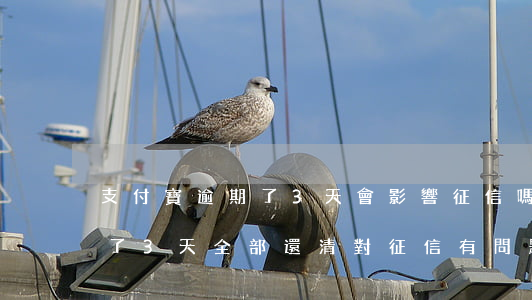 支付寶逾期了3天會影響征信嗎 支付寶逾期了3天全部還清對征信有問題嘛