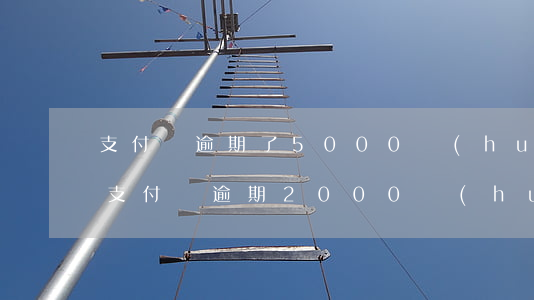 支付寶逾期了5000會(huì)被告嗎(支付寶逾期2000會(huì)起訴嗎)