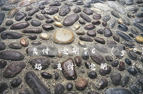 支付寶逾期了6個(gè)月會(huì)起訴(支付寶逾期兩個(gè)月會(huì)起訴嗎)