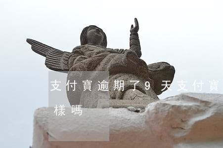 支付寶逾期了9天 支付寶逾期了9天會怎么樣嗎