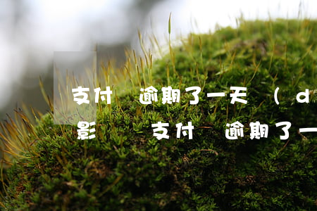 支付寶逾期了一天,對(duì)以后征信有影響嗎?（支付寶逾期了一天影響信用嗎）