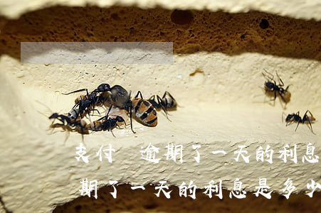 支付寶逾期了一天的利息是多少-支付寶逾期了一天的利息是多少錢(qián)