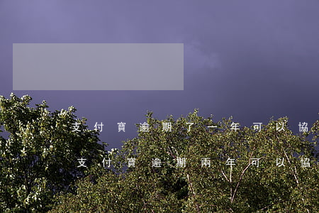 支付寶逾期了一年可以協(xié)商嗎-支付寶逾期兩年可以協(xié)商嗎