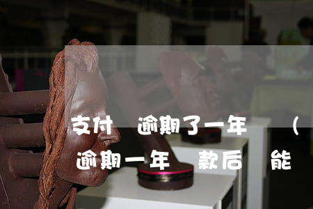 支付寶逾期了一年繼續(xù)還款(支付寶逾期一年還款后還能繼續(xù)使用嗎)