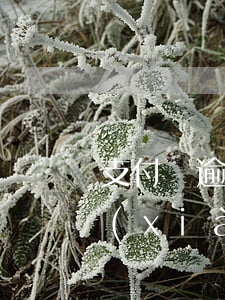 支付寶逾期了不還可以嗎(支付寶多次逾期現(xiàn)逾期不還錢(qián)會(huì)怎么樣)