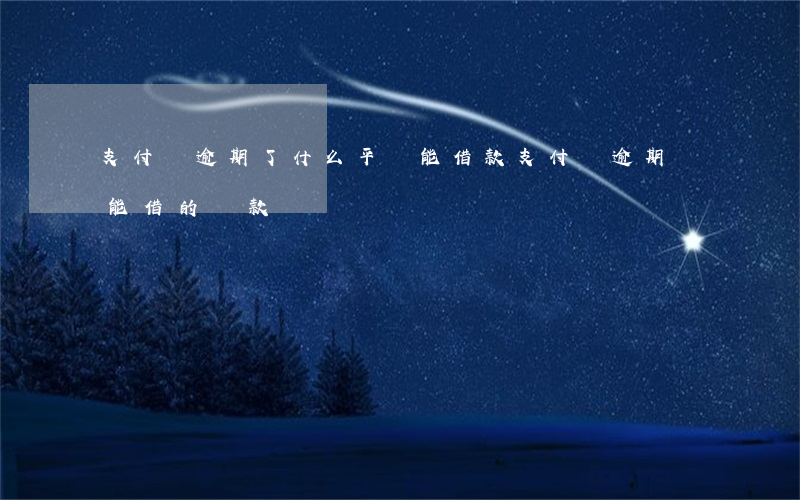 支付寶逾期了什么平臺能借款(支付寶逾期還能借的貸款)