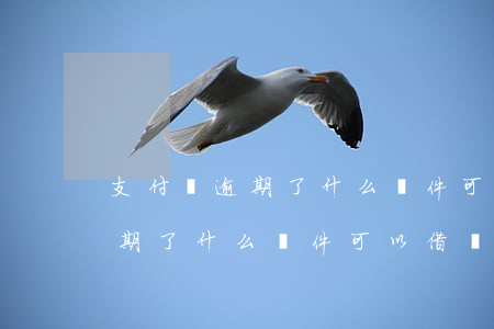 支付寶逾期了什么軟件可以借錢-支付寶逾期了什么軟件可以借錢呢