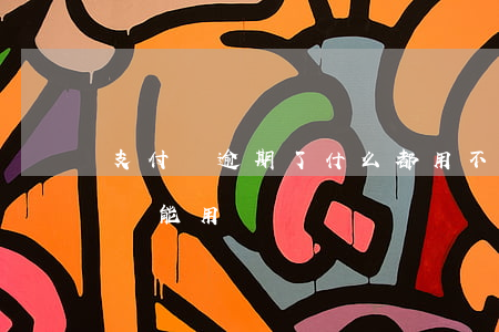 支付寶逾期了什么都用不好(支付寶逾期支付寶能用嗎)