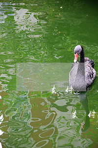 支付寶逾期了今天發(fā)短信讓還全款-支付寶逾期了今天發(fā)短信讓還全款是真的嗎