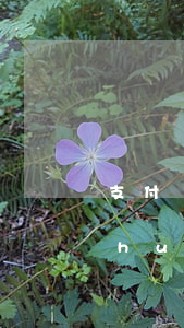 支付寶逾期了余額寶影響嗎(支付寶逾期會(huì)直接扣余額寶的錢(qián)嗎?)