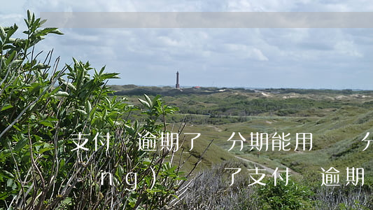 支付寶逾期了來分期能用嗎(來分期已經(jīng)還錢了支付寶逾期)