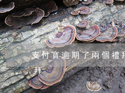 支付寶逾期了兩個禮拜(支付寶逾期了兩個禮拜)