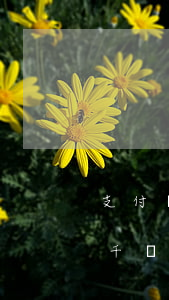 支付寶逾期了兩千多會上門嗎(支付寶逾期幾千塊說上門)