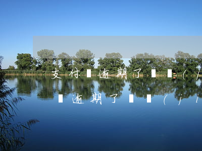 支付寶逾期了凍結(jié)銀行卡嗎(支付寶逾期了凍結(jié)銀行卡嗎)