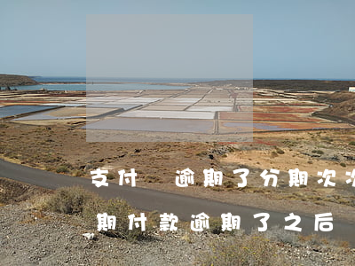 支付寶逾期了分期次次能分期到嗎(支付寶分期付款逾期了,之后還能分期嗎)