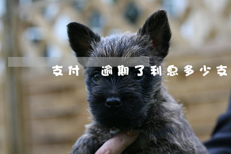 支付寶逾期了利息多少(支付寶逾期的利息)