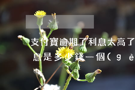 支付寶逾期了利息太高了(支付寶如果逾期,利息是多少錢一個(gè)月)
