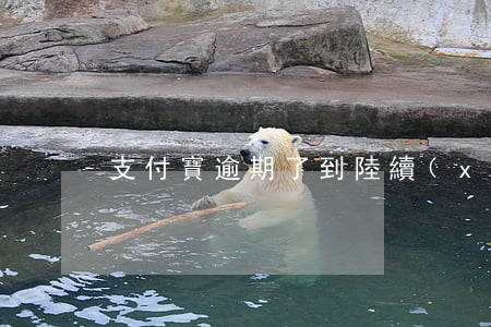 支付寶逾期了到陸續(xù)在還