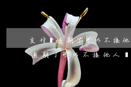 支付寶逾期了可以不接他人電話嗎-支付寶逾期了可以不接他人電話嗎怎么辦