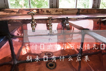 支付寶逾期了可以借充電寶嗎(支付寶借錢逾期未還有什么后果)