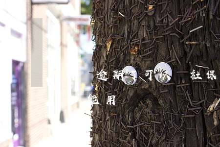 支付寶逾期了可以買社保嗎(支付寶逾期支付寶還能用嗎)