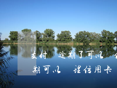 支付寶逾期了可以辦信用卡嗎(支付寶花唄逾期可以辦理信用卡嗎)