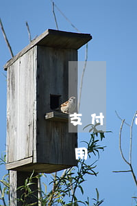 支付寶逾期了后可以用嗎(支付寶逾期后還能用嗎?)
