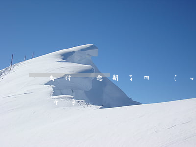 支付寶逾期了四萬(wàn)(支付寶逾期四千多)