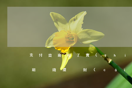 支付寶逾期了實(shí)在沒錢(支付寶逾期沒錢還沒財(cái)產(chǎn)怎么辦)