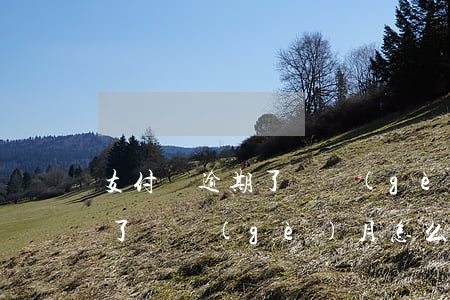 支付寶逾期了幾個(gè)月-支付寶逾期了幾個(gè)月怎么協(xié)商還款