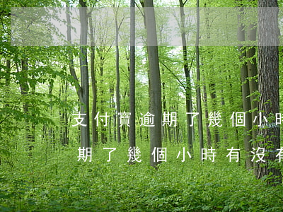 支付寶逾期了幾個小時有沒有事-支付寶逾期了幾個小時有沒有事啊